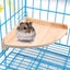 Pet Bird Perch Platform Stand Wood For Small Animals Parrot Parakeet Conure Co Carousel 3