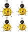 Loading Image 1 of 4