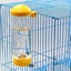 Automatic Hanging Water Bottle For Hamster Rabbit Guinea Pig Non-drip 16oz ran Carousel 3