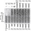 Eyeglass Repair Kit Stainless Steel Screw In Assorted Size With Precision Scre Carousel 1