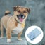Pet Supplies Summer Ice Silk Cooling Mat For Pets Cooling Mat For Dogs Cooling Carousel 3