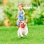 Dog Toy Bouncing Ball Dog Interactive Dog Toy Indestructible Dog Ball Natural Carousel 4