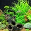 2 Pcs Driftwood Resin Crafts Aquarium Fish Ornaments Carousel 3