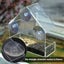 Removable Window Bird Feeder Carousel 3