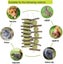 Chew Toys For Teeth Molar Rabbit Toys Natural Organic Apple Sticks For Rabbits Carousel 3