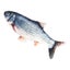Loading Image 1 of 5