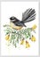 A2 Kowhai Fantail Limited Edition Print by Fiona Clarke ART- NZ artist Carousel 1