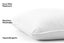 Set of 2 Ovela Microfibre European Pillows, OVPILMFBP2A Carousel 3