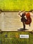 Loading Image 2 of 2