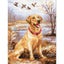 Riolis Labrador - Counted Cross Stitch Kit Carousel 1