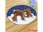 Cute Bear Carpet Embroidery Latch Hook Kit Cartoon Animal Undefined Latch Hook Carousel 7