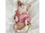 Dog Clothes Pet Clothes Carousel 2