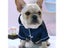 Dog Clothes Pet Clothes Carousel 4