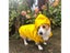 Pet Dog Clothes Puppy Windproof Rainproof Sport Hoodies Jackets For Popa Perro Carousel 5