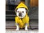 Pet Dog Clothes Puppy Windproof Rainproof Sport Hoodies Jackets For Popa Perro Carousel 6