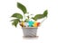 100 Pcs Plastic Plant Tags For Nursery Garden Seedling Markers Carousel 7