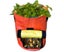 Potato Grow Bags 10 Gallon PE Planter Pots Planting Bags with Flap Window Carousel 1