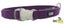 DOG COLLAR COMET RECHARGEABLE LIGHT UP SAFETY COLLAR MEDIUM PURPLE 25MM 45-63CM Carousel 1