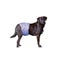 DOG BELLY BAND POOCHPANTS PROTECTIVE PANTS MALE XTRA LARGE Carousel 1