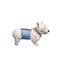 DOG BELLY BAND POOCHPANTS PROTECTIVE PANTS MALE XTRA LARGE Carousel 5