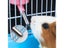500Ml Hamster/Rabbit Pet Water Dispenser Hanging Bottle Drinker Carousel 6