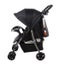 Childcare Aero Stroller Black Carousel 4