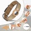 Vibe Geeks Waterproof Anti-lost Pet Positioning Collar for the Apple Airtag P... Carousel 13