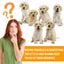 12x Pet ID Bands Kitten Tags Whelping Puppy Dog Identification Tags Collar Carousel 4