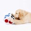 Dice Treat Iq Puzzle Toys For Dogs Dog Toys HOD Health & Home Carousel 4