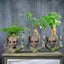 Hod Health & Home Mini Flowerpot Little Happy Groot Desktop Decoration Indoor Va Carousel 4