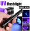 NEW new UV Torch Light Blacklight 395nM Pet Urine Stains *Clearance* Carousel 1
