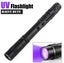 NEW new UV Torch Light Blacklight 395nM Pet Urine Stains *Clearance* Carousel 6