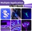 NEW new UV Torch Light Blacklight 395nM Pet Urine Stains *Clearance* Carousel 8