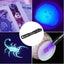NEW new UV Torch Light Blacklight 395nM Pet Urine Stains *Clearance* Carousel 9