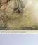 Framed Genuine Colour plate illustrated by Arthur Rackham - Peter Pan 1937 Carousel 4
