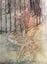 Framed Genuine Colour plate illustrated by Arthur Rackham - Peter Pan 1937 Carousel 3