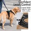 Adjustable Dog Harness Tactical Lead Vest Outdoor Leash SMALL Carousel 7