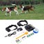 Electric Dog Fence System With Rechargeable Fencing Collar Carousel 8