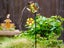 2Pcs Solar Watering Can Light Outdoor Water-Resistant Waterfall Lamp Dragonfly Carousel 2