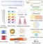 NEW Crochet Hooks sale sale Carousel 6