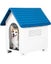 New Dog House Afterpay Carousel 6