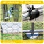 Vaka 3X4x1.95M Metal Walk In Chicken Coop Rabbit Hutch Cage Hen House Chook Au P Carousel 4