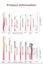 NEW Nail Clippers Sale Sale Carousel 3