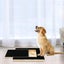 Dog Scratching Board with Treat Box Scratch Polish Pad for Nails Carousel 6