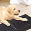 Dog Scratching Board with Treat Box Scratch Polish Pad for Nails Carousel 9