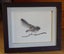 ‘Fantail’ Print (from an original drawing in pencil) - Framed Carousel 1