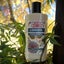 Jasmine & Bergamot Hand & Body Lotion Carousel 1