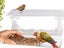 Outdoors Window Clear Bird Feeder with Strong Suction Cups Carousel 4