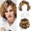 Men's wig Carousel 1