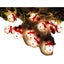 Loading Image 2 of 5